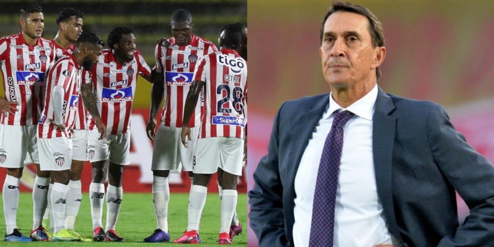 Alexandre Guimarães ya tuvo contactos con la gente de Junior de Barranquilla y ahora que el club quedó fuera de la Copa Libertadores acelerarían las negociaciones para llevarlo en lugar de Amaranto Perea