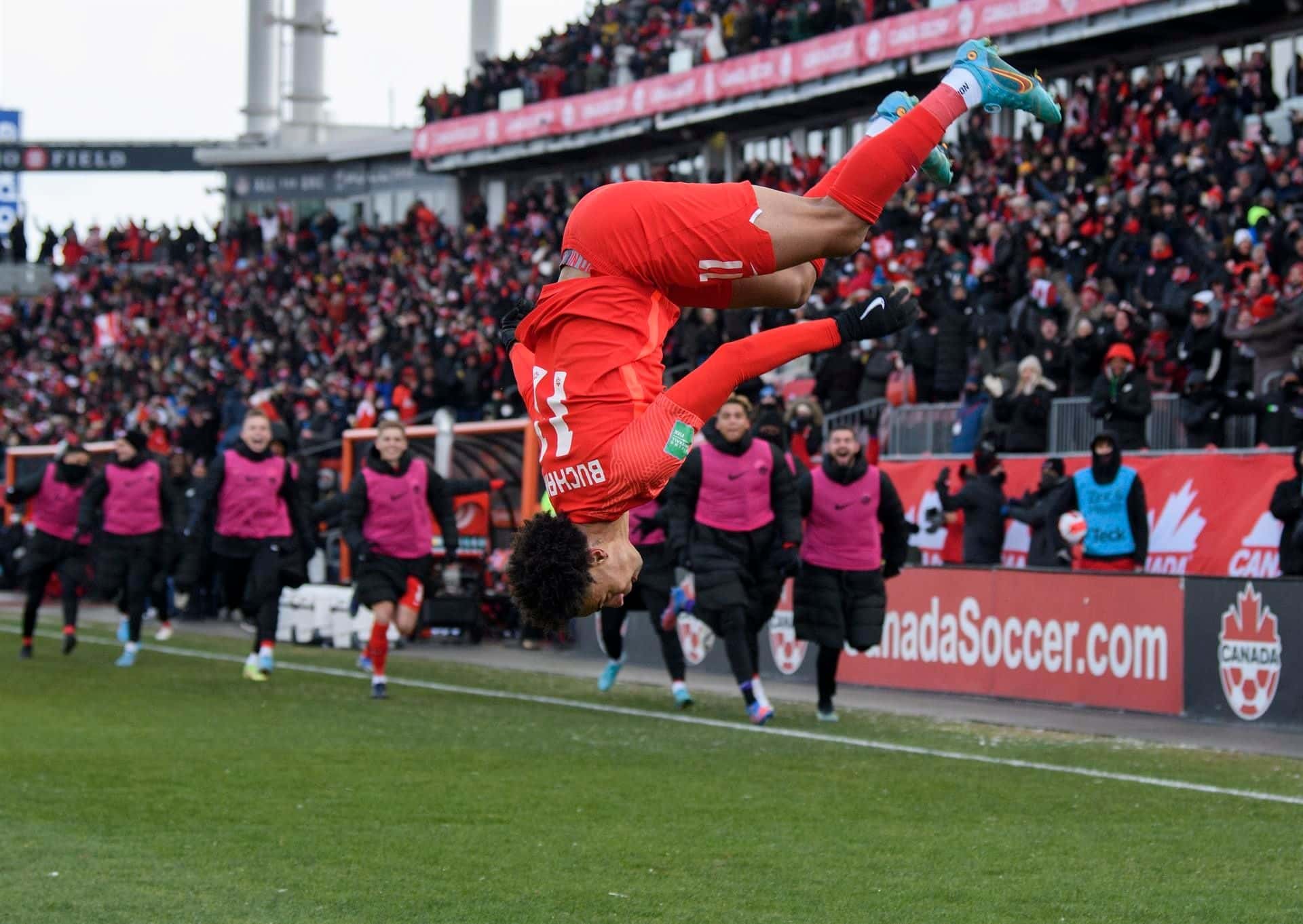 Canadá se metió luego de 36 años en una Copa del Mundo, mientras que Estados Unidos y México quedaron muy cerca del objetivo.