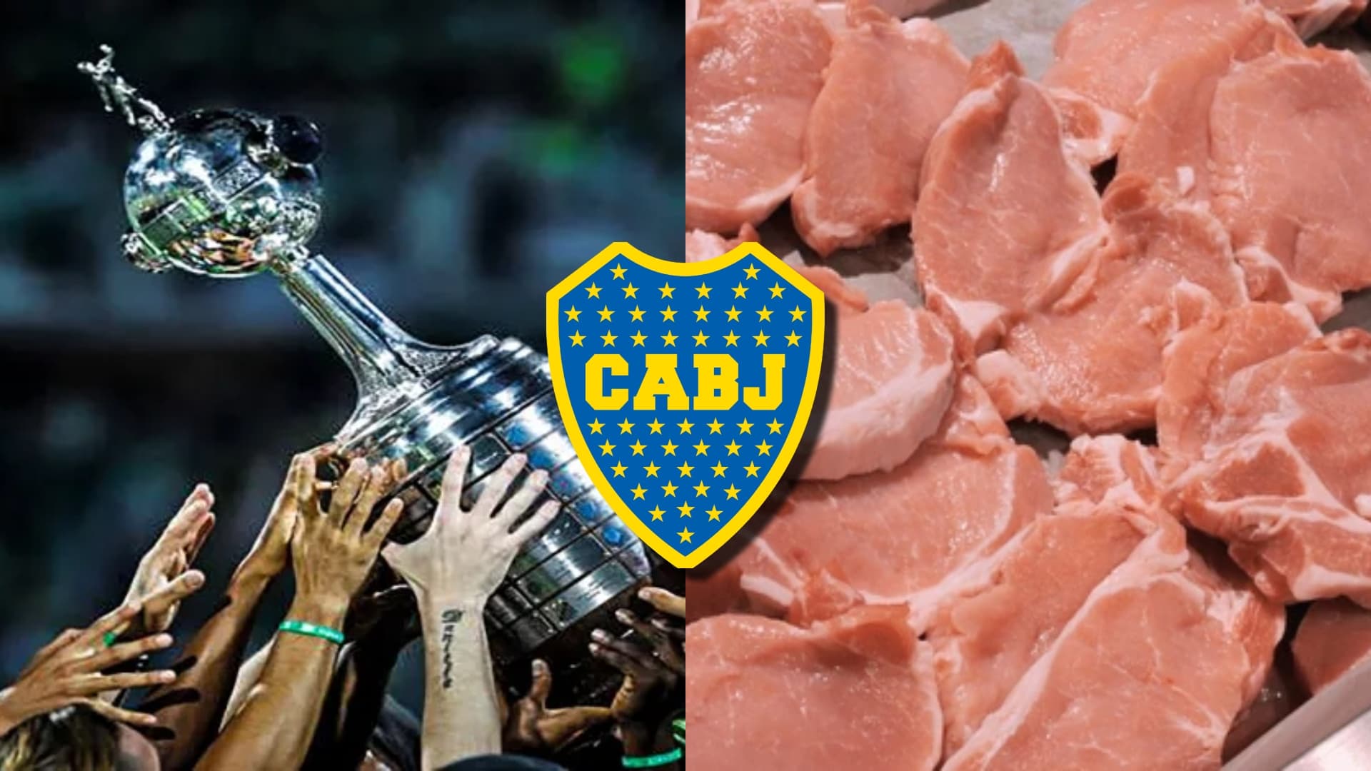Copa Libertadores en alza.
