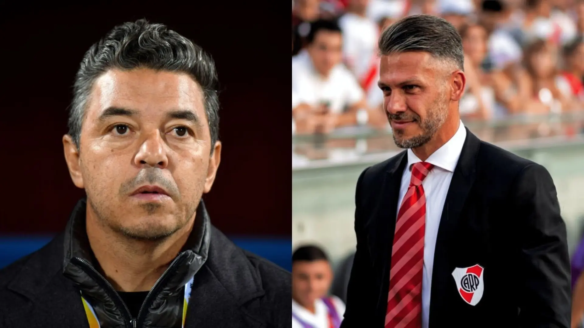 Demichelis y Gallardo
