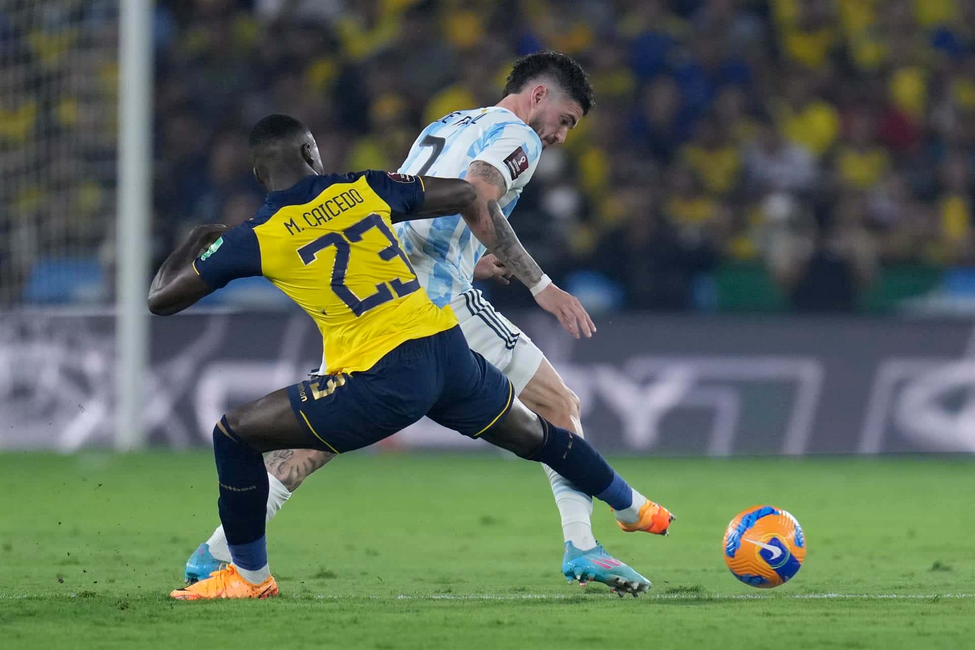 El conjunto de Lionel Scaloni empató 1 a 1 en Guayaquil y alcanzó un invicto de 31 partidos, el mismo que consiguió el equipo de Basile en la década del '90. El gol de la Albiceleste fue de Julián Álvarez.
