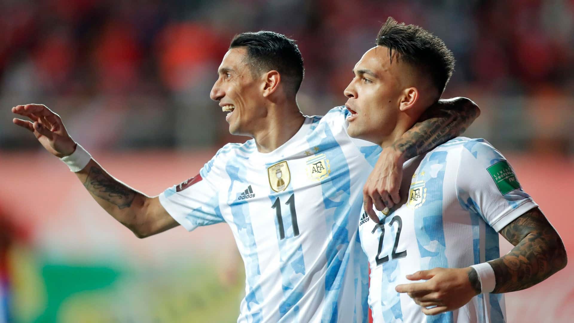 El conjunto de Lionel Scaloni se mide en Córdoba ante el elenco Cafetero, por las Eliminatorias Sudamericanas.