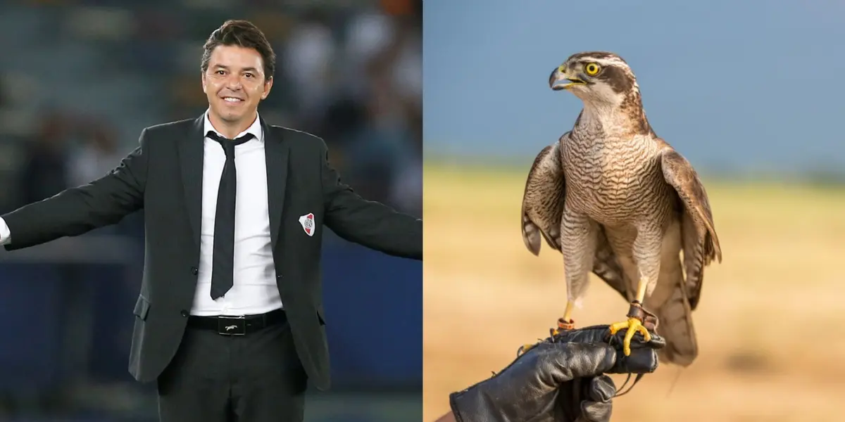 Este ex jugador tenía todo para ser un crack pero dio un giro inesperado en su vida luego de retirarse muy joven.