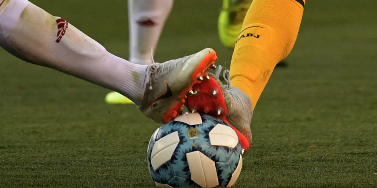 La Liga Profesional iniciará un nuevo campeonato una vez que finalice la Copa América.