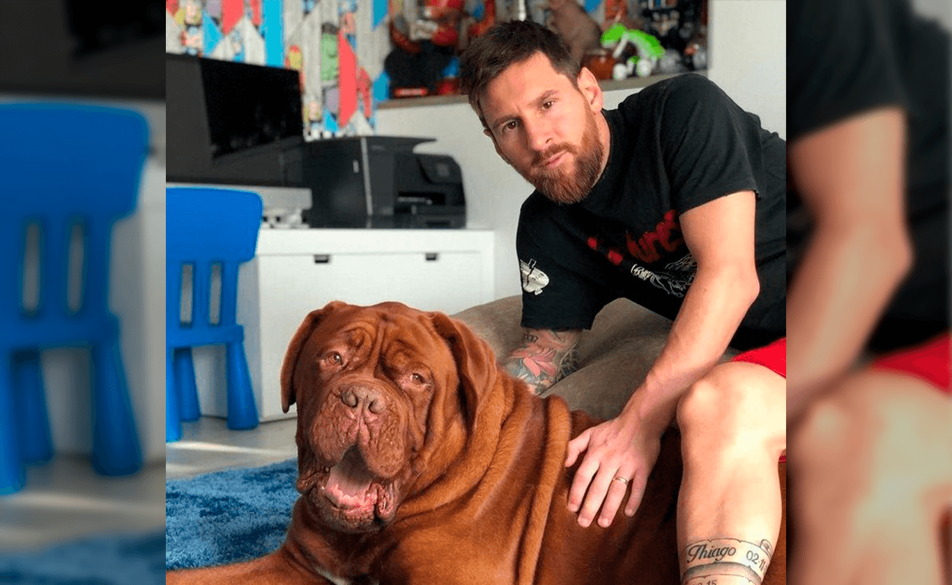 Lionel Messi fichó por el Paris Saint-Germain para esta nueva temporada y actualmente se encuentra hospedado en un hotel donde todavía no trajo todas sus pertenencias desde Barcelona, inclusive su perro Hulk ¿De qué raza es el animal del argentino? Enterate de todas las novedades acá