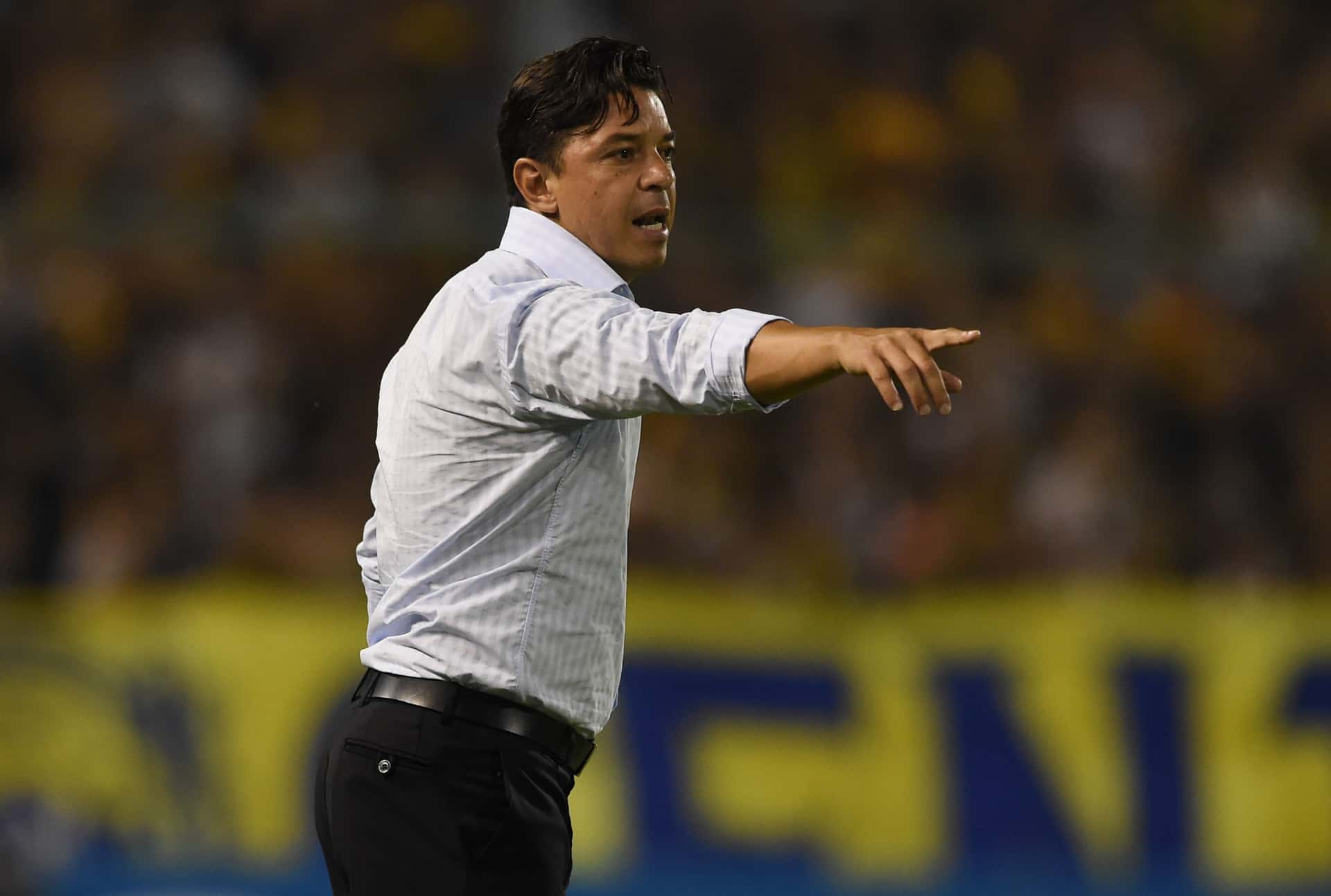 Marcelo Gallardo sufrió la eliminación de River en la Copa Argentina el pasado miércoles cuatro de agosto ante Boca en la definición por penales que terminó 4-1. En total, el entrenador del Millonario perdió solamente dos veces en los mano a mano ante su clásico rival ¿Cuántas veces le ganó? Enterate de toda la información acá.