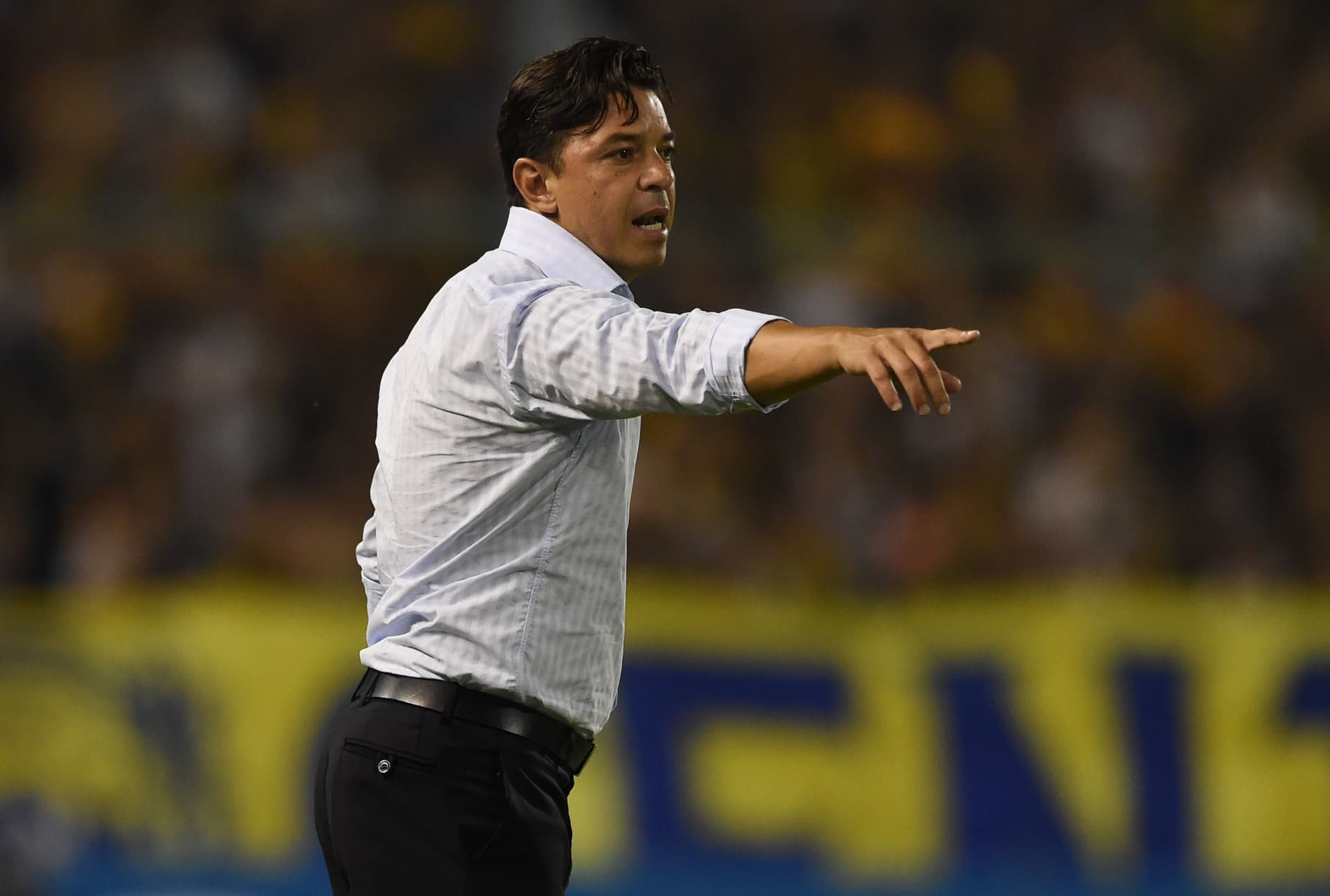 Marcelo Gallardo sufrió la eliminación de River en la Copa Argentina el pasado miércoles cuatro de agosto ante Boca en la definición por penales que terminó 4-1. En total, el entrenador del Millonario perdió solamente dos veces en los mano a mano ante su clásico rival ¿Cuántas veces le ganó? Enterate de toda la información acá.