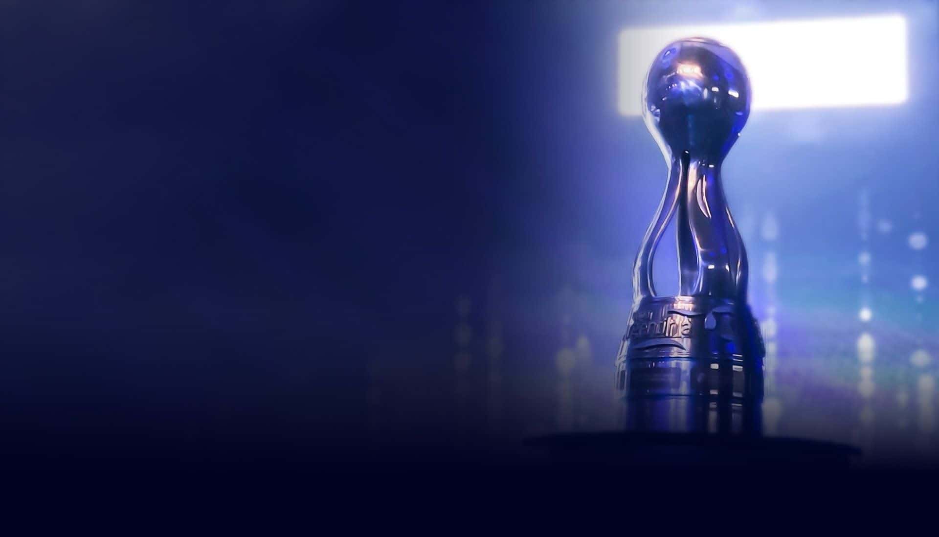 Se sorteó el torneo más federal del país, y Xeneizes y Millonarios podrían cruzarse en semifinales.