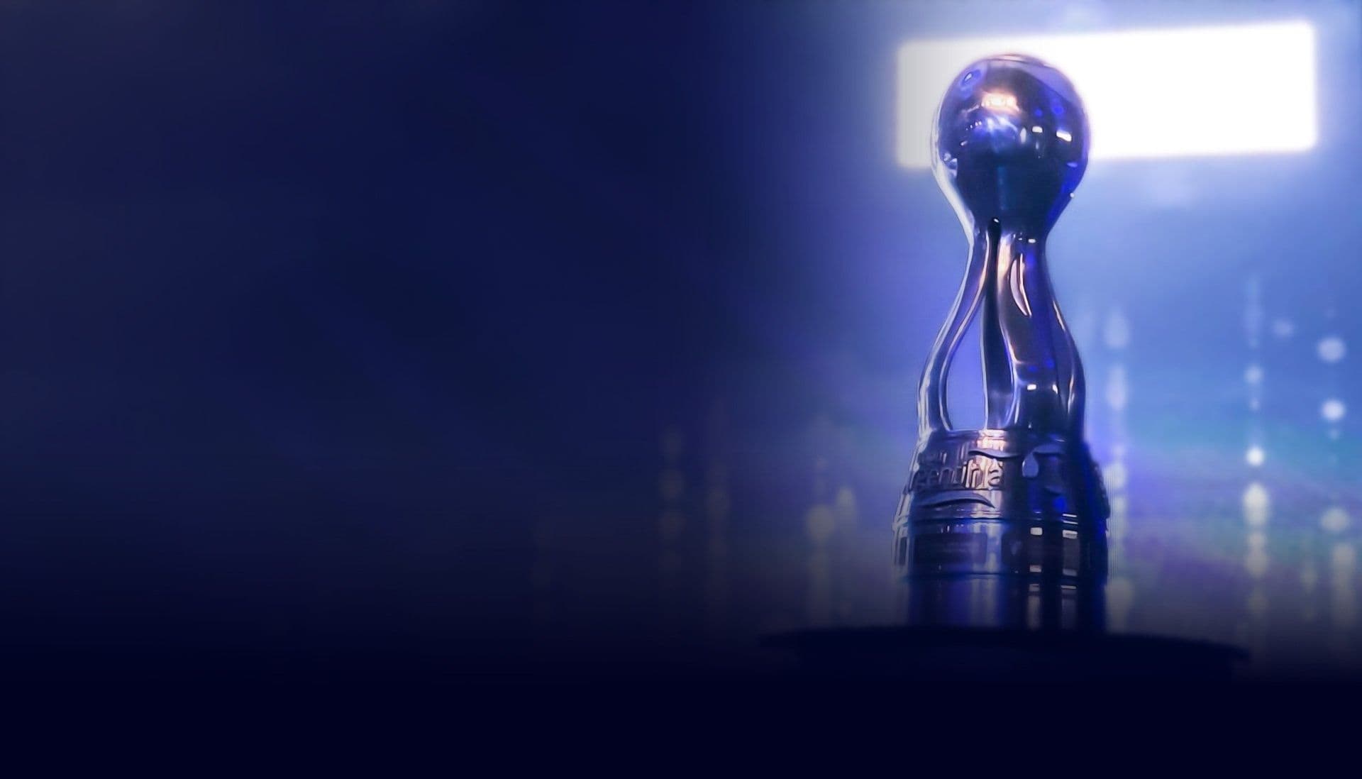 Se sorteó el torneo más federal del país, y Xeneizes y Millonarios podrían cruzarse en semifinales.