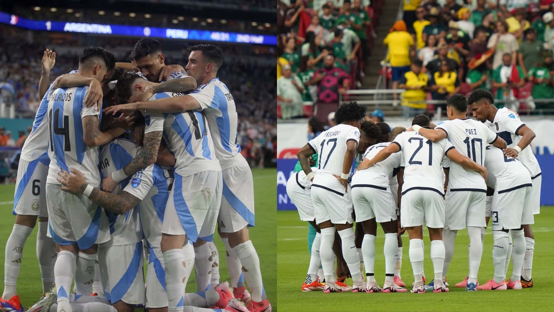 Selección Argentina vs Selección de Ecuador